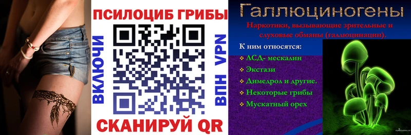 Псилоцибиновые грибы Psilocybine cubensis  Балашиха 