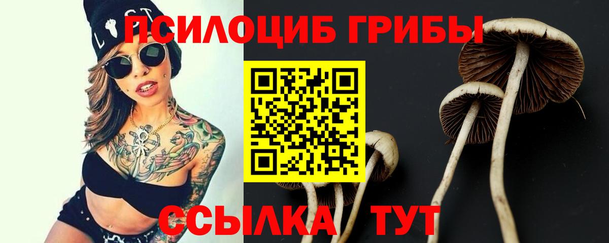 Галлюциногенные грибы Magic Shrooms  Вход с VPN  хочу   Балашиха 